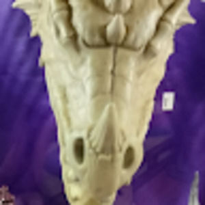 Meet your Posher, Evil